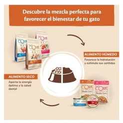 Wellness Core Duo Protein Salmón y Pollo tarrina para gatos New
