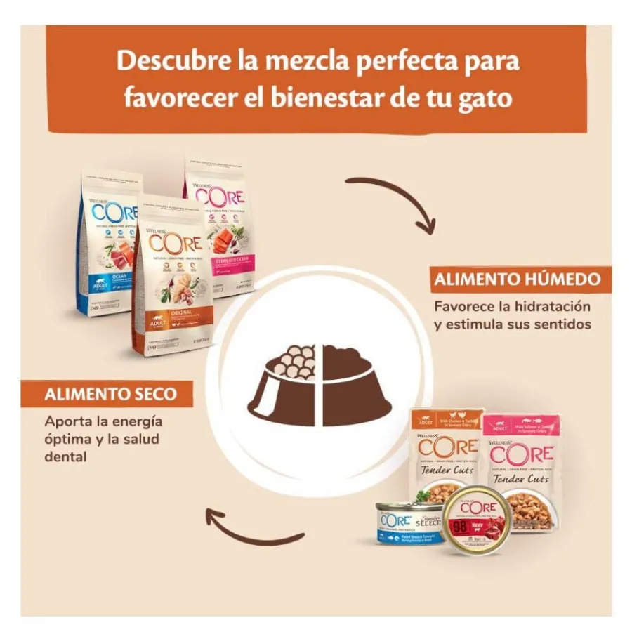 Wellness Core Duo Protein Salmón y Pollo tarrina para gatos New