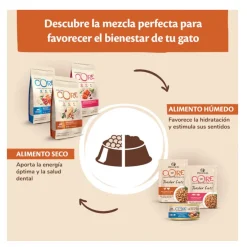 Wellness Core Kitten Pavo y Pollo pienso para gatos New