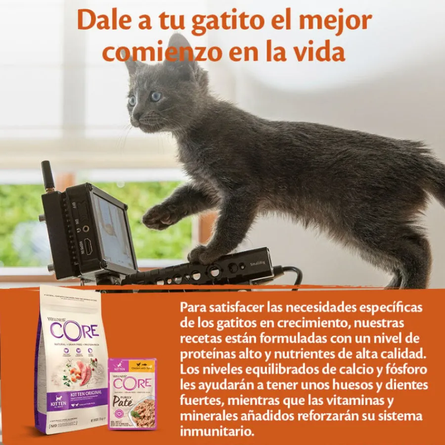 Wellness Core Kitten Pollo en Paté sobre para gatitos Discount