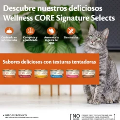 Wellness Core Shredded Pollo lata para gatos Sale