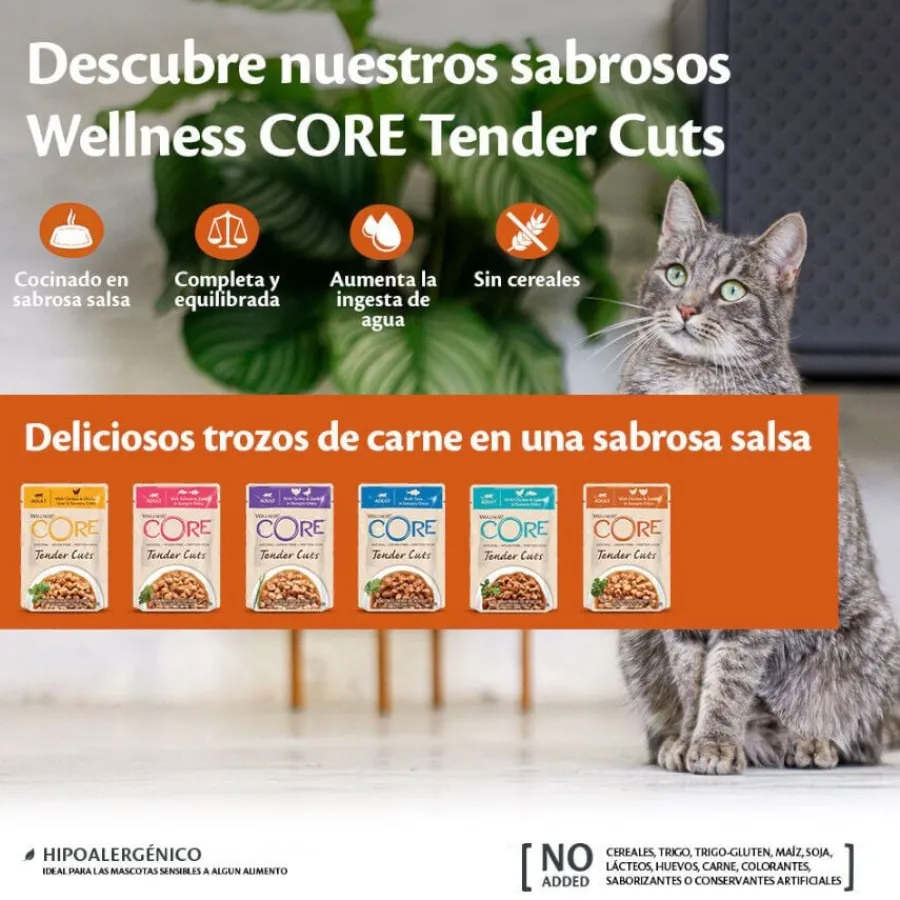 Wellness Core Tender Cuts pollo y salmón sobre en salsa para gatos Hot