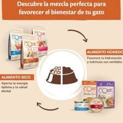 Wellness Core Tender Cuts pollo y salmón sobre en salsa para gatos Hot