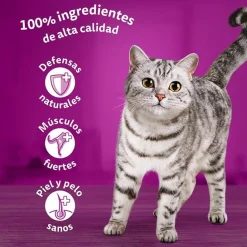 Whiskas Selección Clásicos Sobre en Salsa para gatos