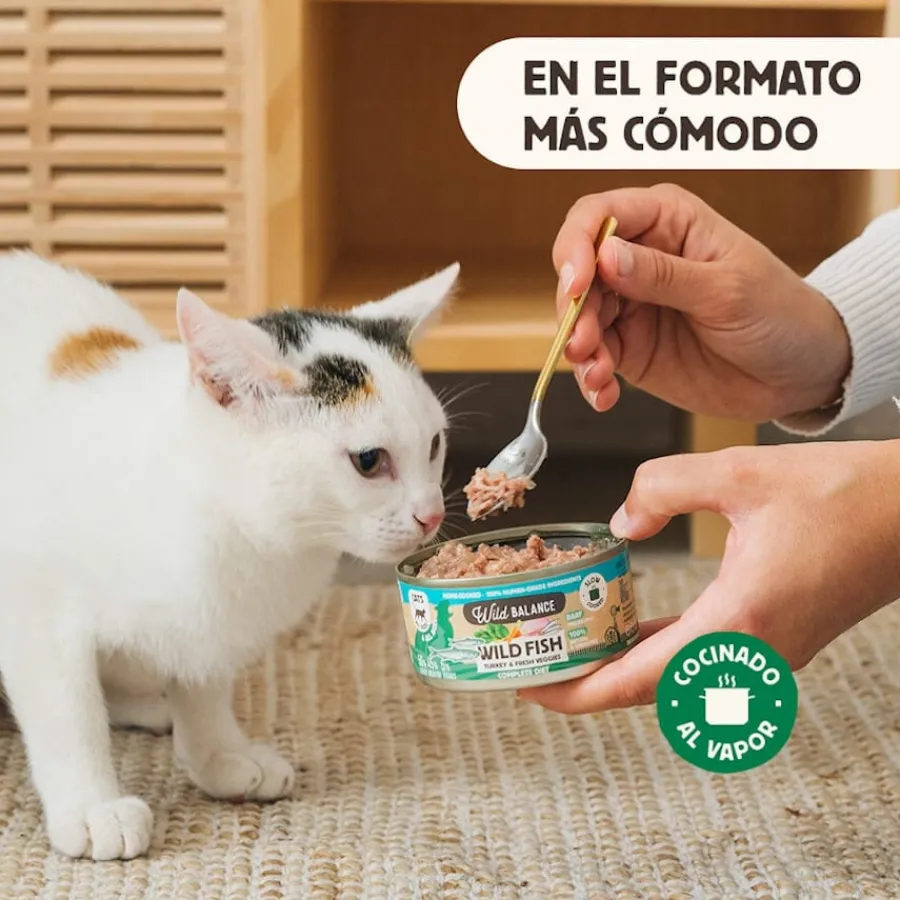 Wild Balance BARF Pescado y Pavo lata para gatos Online