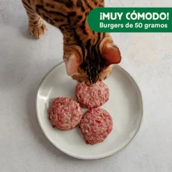 Wild Balance Menú Barf salmón pavo y verduras comida congelada para gatos Hot