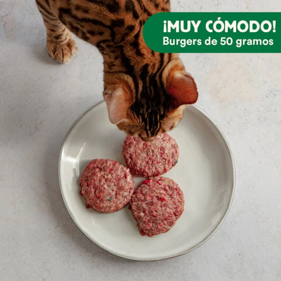 Wild Balance Menú Barf salmón pavo y verduras comida congelada para gatos Hot