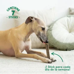 Wild Balance Stick Dentales de Pavo para Perros Hot
