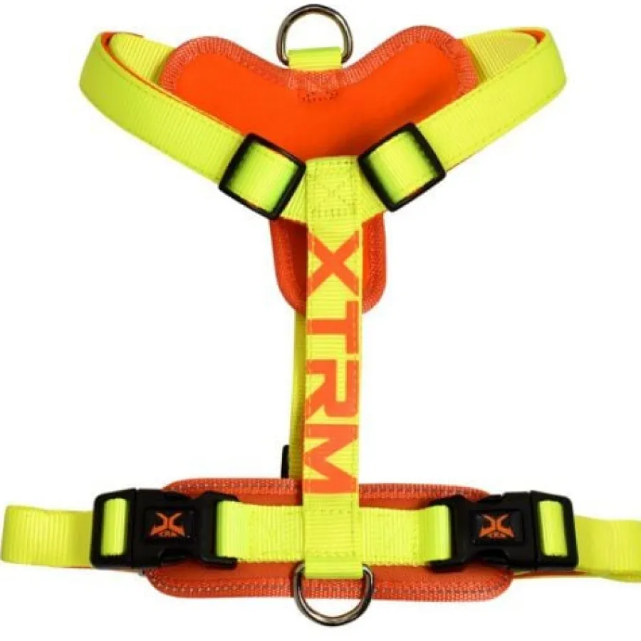 Nayeco X-TRM Cronos Neon Flash Arnés Limón para perros Sale